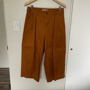 Madewell Pleated Wide Leg pants size 10 Petite
